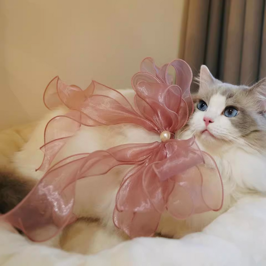Fairy-Style Pet Scarf and Bow Tie Collar