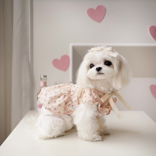 Rose Princess Dress for Pets