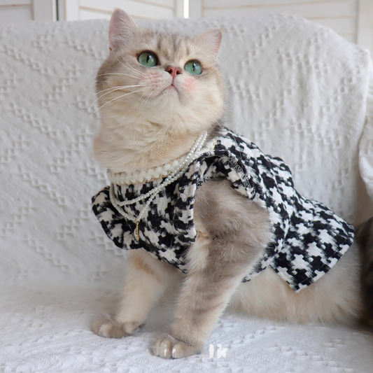 Elegant Princess Dress for Pets - Autumn/Winter Collection